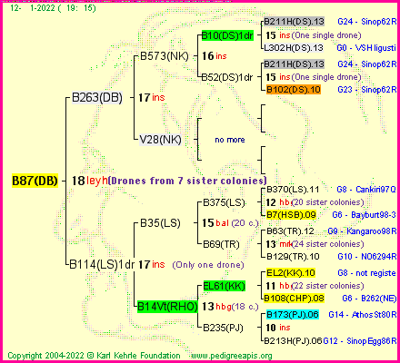 Pedigree of B87(DB) :
four generations presented
it's temporarily unavailable, sorry!