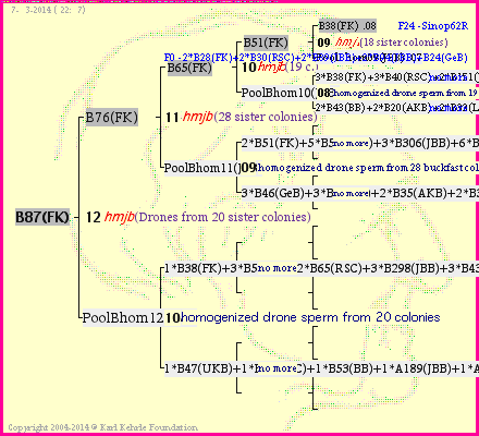 Pedigree of B87(FK) :
four generations presented