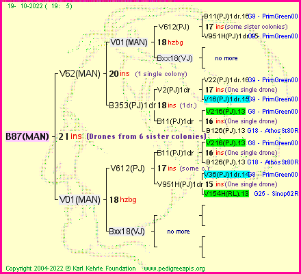 Pedigree of B87(MAN) :
four generations presented
it's temporarily unavailable, sorry!