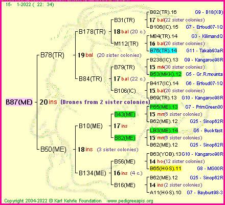 Pedigree of B87(ME) :
four generations presented
it's temporarily unavailable, sorry!