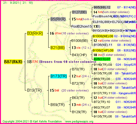 Pedigree of B87(RKR) :
four generations presented
it's temporarily unavailable, sorry!