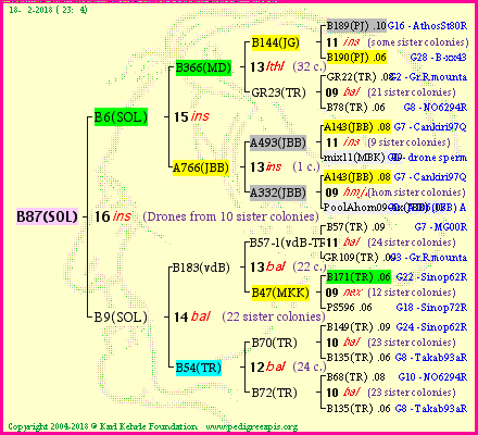 Pedigree of B87(SOL) :
four generations presented<br />it's temporarily unavailable, sorry!