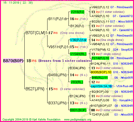 Pedigree of B870(BOP) :
four generations presented
it's temporarily unavailable, sorry!