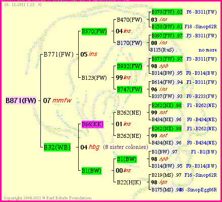 Pedigree of B871(FW) :
four generations presented