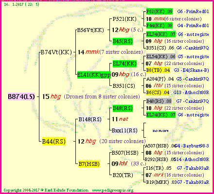 Pedigree of B874(LS) :
four generations presented<br />it's temporarily unavailable, sorry!