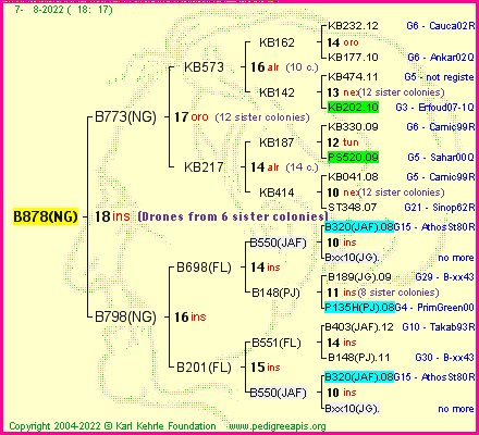 Pedigree of B878(NG) :
four generations presented
it's temporarily unavailable, sorry!