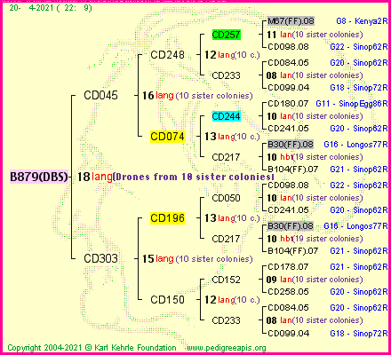 Pedigree of B879(DBS) :
four generations presented
it's temporarily unavailable, sorry!