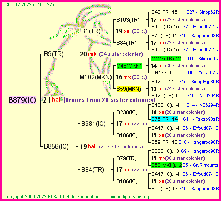 Pedigree of B879(IC) :
four generations presented
it's temporarily unavailable, sorry!