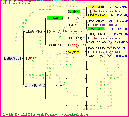 Pedigree of B88(ACL) :
four generations presented
it's temporarily unavailable, sorry!