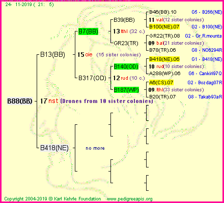 Pedigree of B88(BB) :
four generations presented<br />it's temporarily unavailable, sorry!