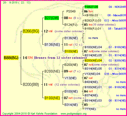 Pedigree of B88(BG) :
four generations presented<br />it's temporarily unavailable, sorry!