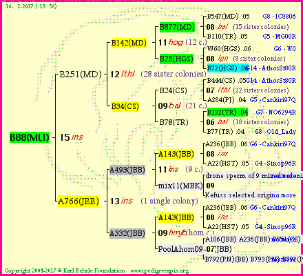 Pedigree of B88(MLI) :
four generations presented<br />it's temporarily unavailable, sorry!