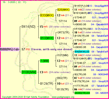 Pedigree of B88(WG)1dr :
four generations presented
it's temporarily unavailable, sorry!