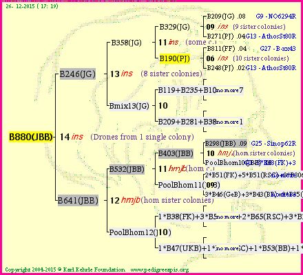 Pedigree of B880(JBB) :
four generations presented