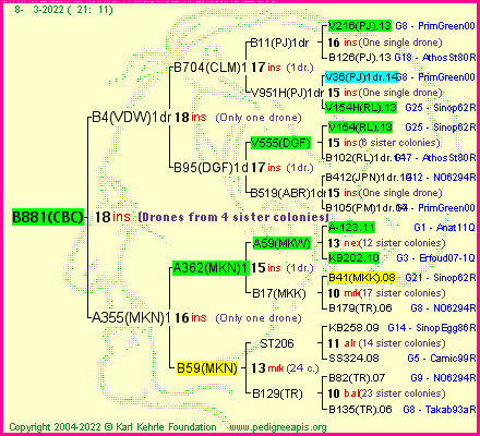 Pedigree of B881(CBC) :
four generations presented
it's temporarily unavailable, sorry!