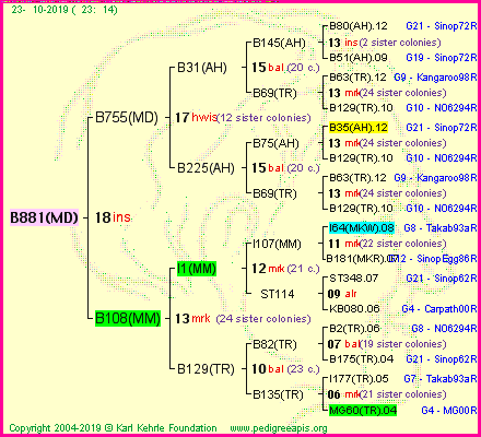 Pedigree of B881(MD) :
four generations presented
it's temporarily unavailable, sorry!