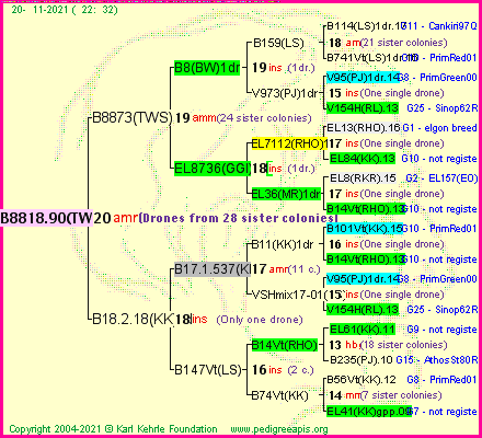 Pedigree of B8818.90(TWS) :
four generations presented
it's temporarily unavailable, sorry!