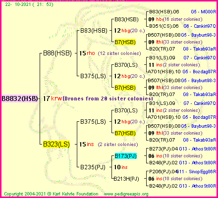 Pedigree of B8832(HSB) :
four generations presented
it's temporarily unavailable, sorry!