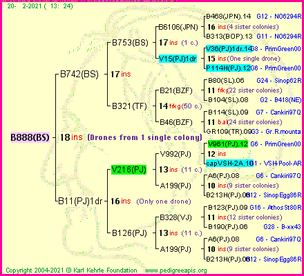 Pedigree of B888(BS) :
four generations presented
it's temporarily unavailable, sorry!