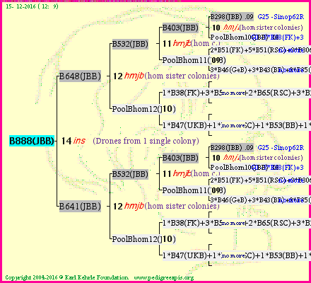 Pedigree of B888(JBB) :
four generations presented