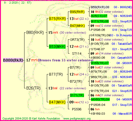 Pedigree of B888(RKR) :
four generations presented<br />it's temporarily unavailable, sorry!