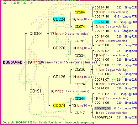 Pedigree of B89(AVM) :
four generations presented
it's temporarily unavailable, sorry!