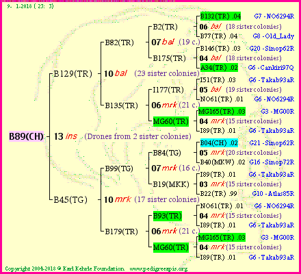 Pedigree of B89(CH) :
four generations presented<br />it's temporarily unavailable, sorry!