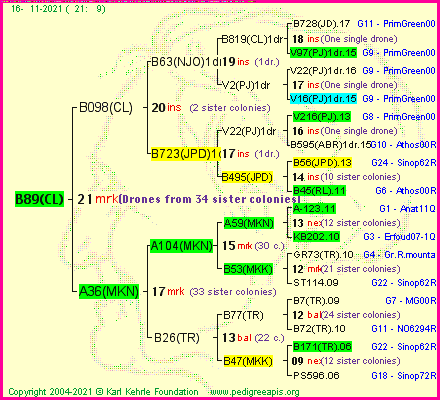 Pedigree of B89(CL) :
four generations presented
it's temporarily unavailable, sorry!