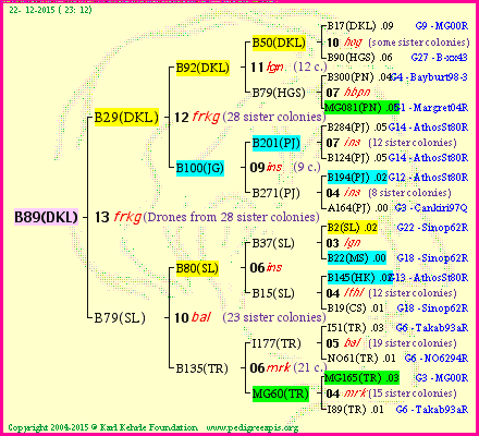 Pedigree of B89(DKL) :
four generations presented