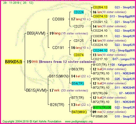 Pedigree of B89(DSJ) :
four generations presented
it's temporarily unavailable, sorry!