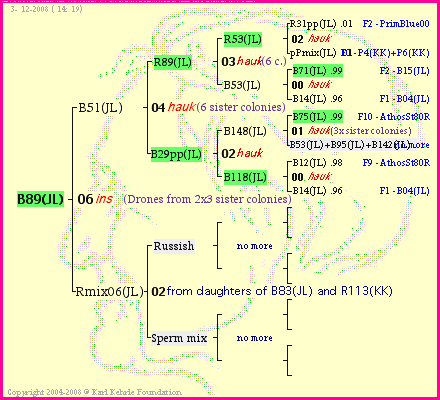 Pedigree of B89(JL) :
four generations presented