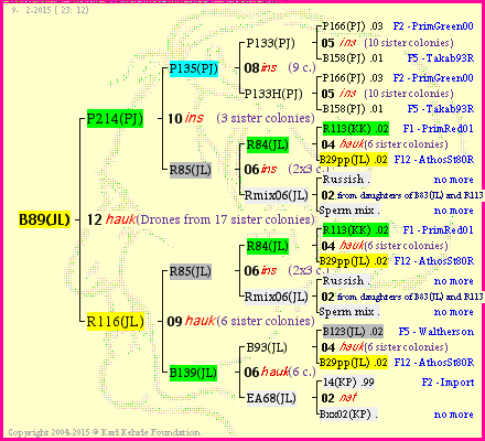 Pedigree of B89(JL) :
four generations presented