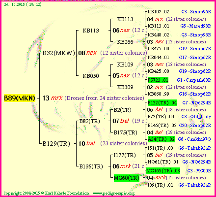 Pedigree of B89(MKN) :
four generations presented