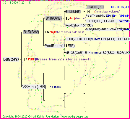 Pedigree of B89(SW) :
four generations presented<br />it's temporarily unavailable, sorry!