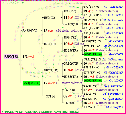 Pedigree of B89(TR) :
four generations presented<br />it's temporarily unavailable, sorry!