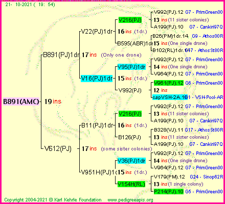 Pedigree of B891(AMC) :
four generations presented
it's temporarily unavailable, sorry!