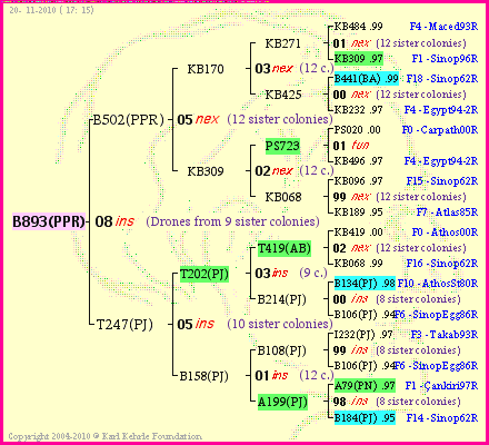 Pedigree of B893(PPR) :
four generations presented