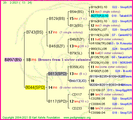 Pedigree of B897(BS) :
four generations presented
it's temporarily unavailable, sorry!