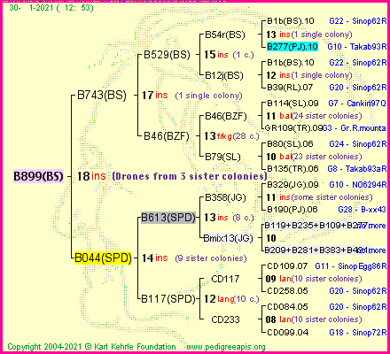 Pedigree of B899(BS) :
four generations presented
it's temporarily unavailable, sorry!