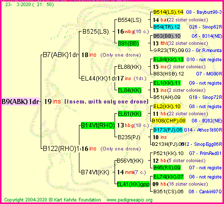 Pedigree of B9(ABK)1dr :
four generations presented
it's temporarily unavailable, sorry!