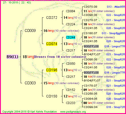 Pedigree of B9(CL) :
four generations presented
it's temporarily unavailable, sorry!