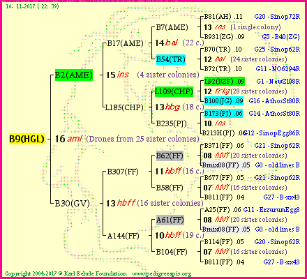 Pedigree of B9(HGL) :
four generations presented<br />it's temporarily unavailable, sorry!