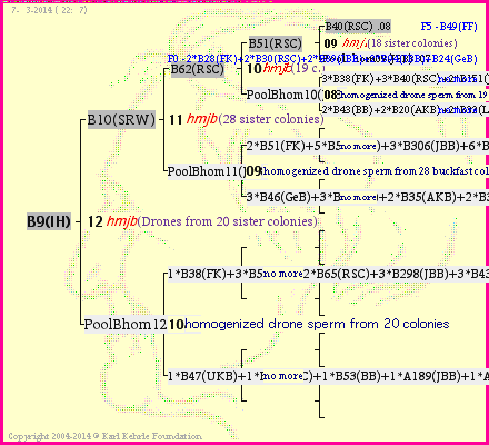 Pedigree of B9(IH) :
four generations presented