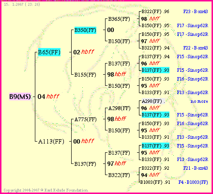 Pedigree of B9(MS) :
four generations presented
it's temporarily unavailable, sorry!