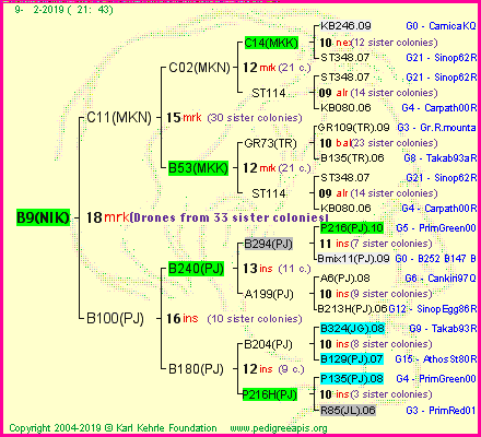 Pedigree of B9(NIK) :
four generations presented
it's temporarily unavailable, sorry!