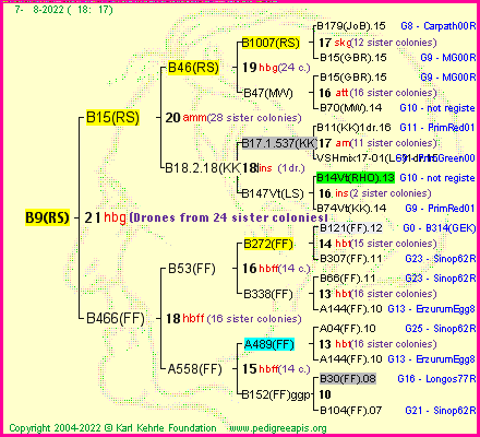 Pedigree of B9(RS) :
four generations presented
it's temporarily unavailable, sorry!