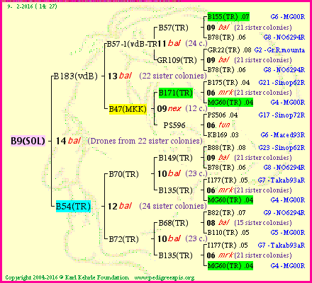 Pedigree of B9(SOL) :
four generations presented<br />it's temporarily unavailable, sorry!