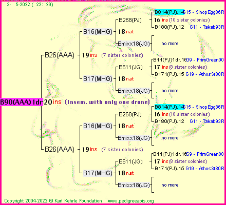 Pedigree of B90(AAA)1dr :
four generations presented
it's temporarily unavailable, sorry!