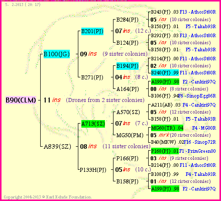 Pedigree of B90(CLM) :
four generations presented