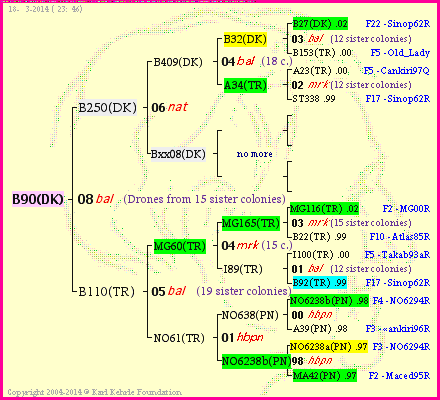 Pedigree of B90(DK) :
four generations presented